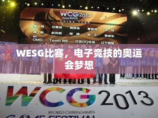 WESG比赛，电子竞技的奥运会梦想